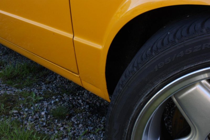 IMG_2768 (Large).jpg