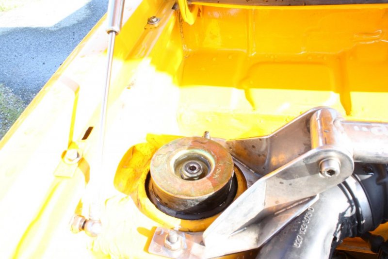 IMG_2720 (Large).jpg