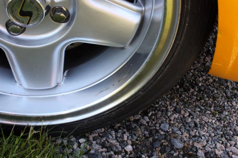 IMG_2770 (Large).jpg