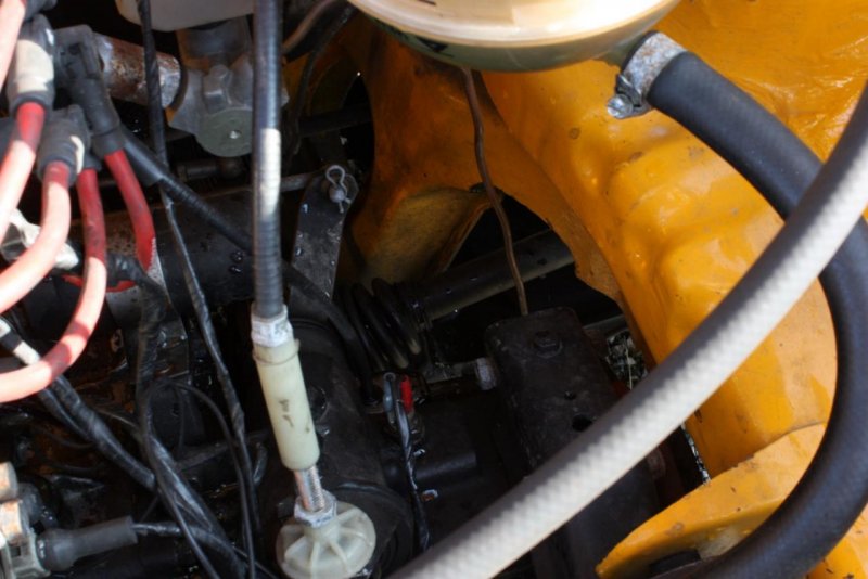 IMG_2721 (Large).jpg