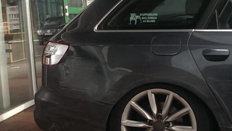 2014-11-04 12.36.23.jpg