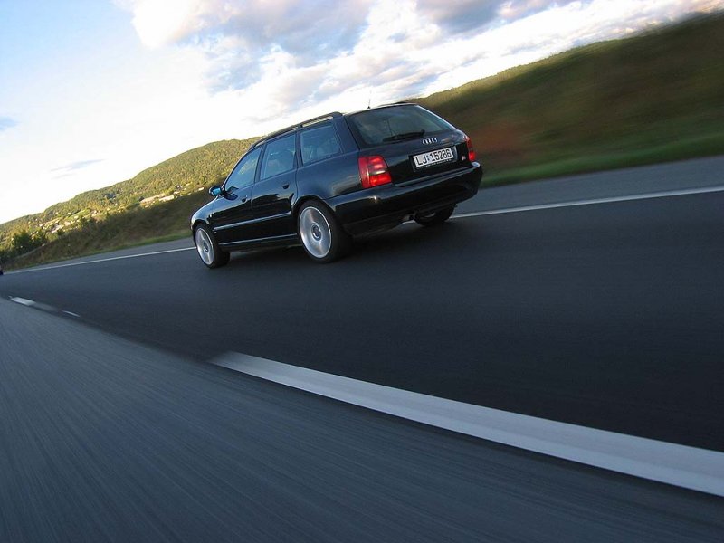 skrotner in_motion.jpg