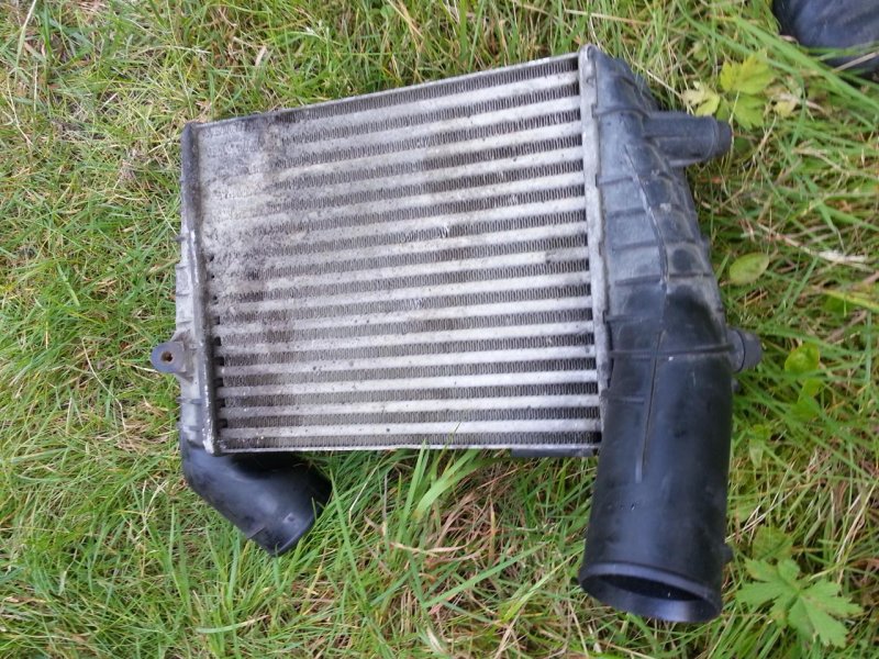 2013-08-25 16.49.11.jpg