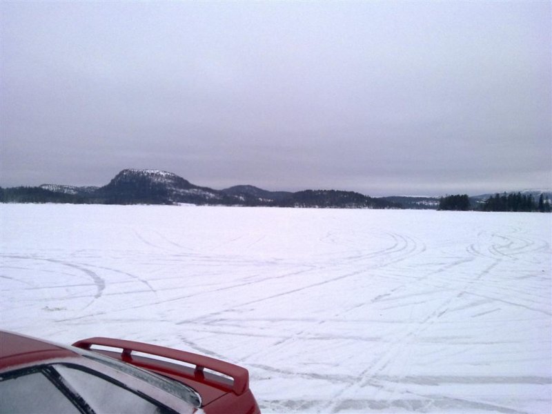 07022009024 (Large).jpg