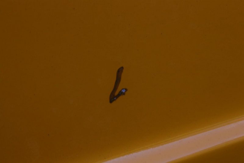 IMG_2761 (Large).jpg