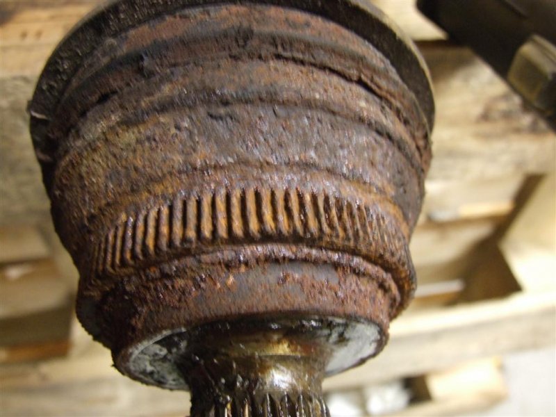 DSCF1144 (Large).JPG