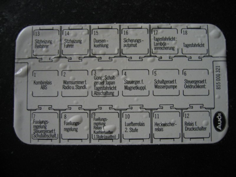 IMG_3824 [1024x768].JPG