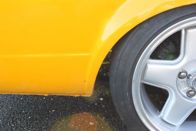 IMG_2684 (Large).jpg