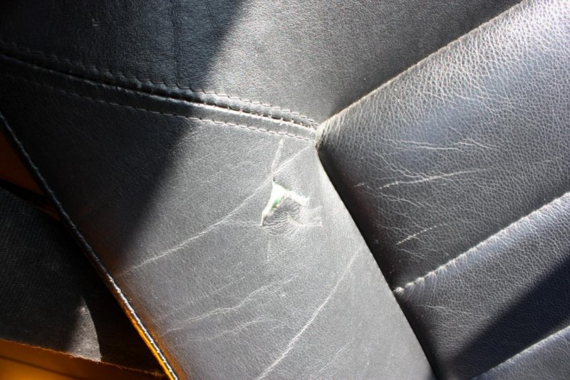 IMG_2743 (Large).jpg