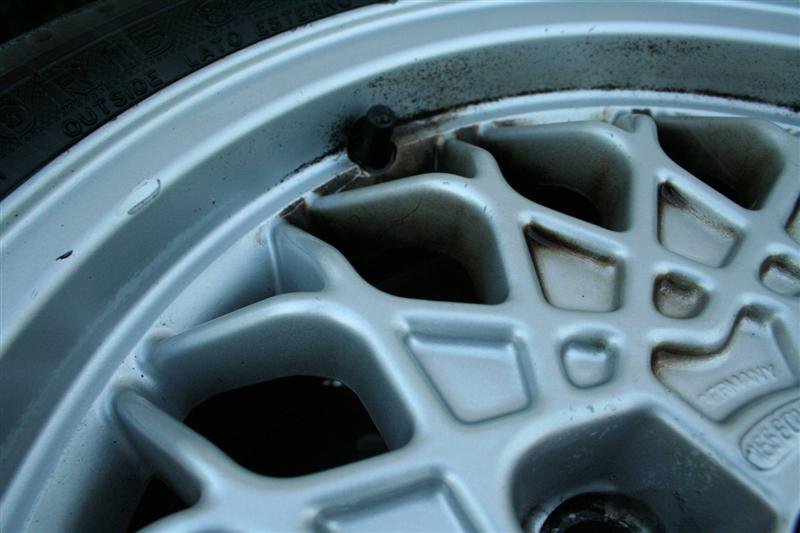 IMG_3779 (Medium).JPG