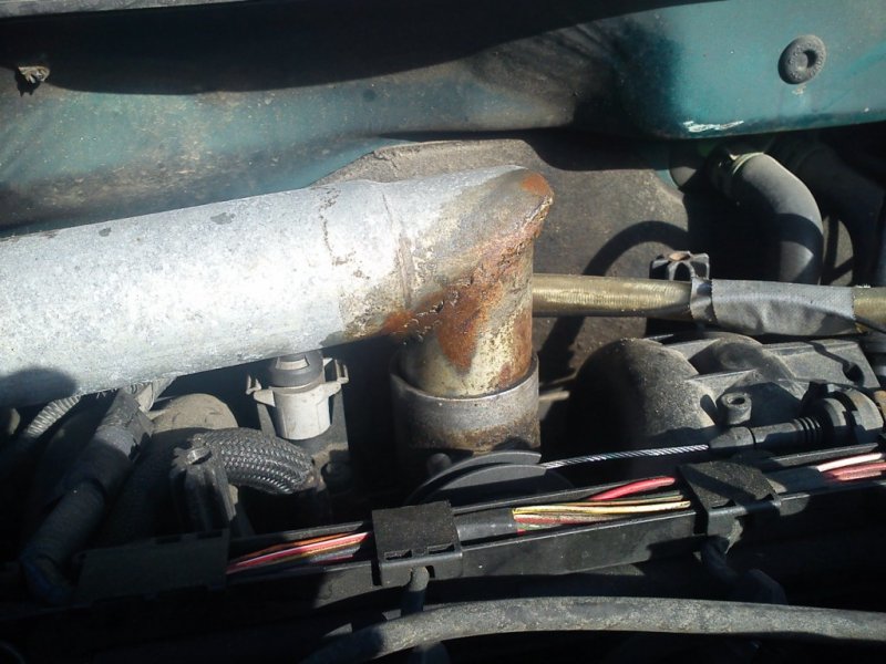 DSC00397 [1024x768].jpg