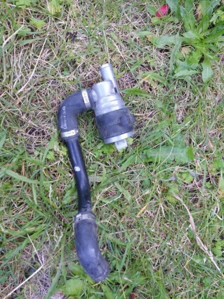 2013-08-25 16.46.00.jpg