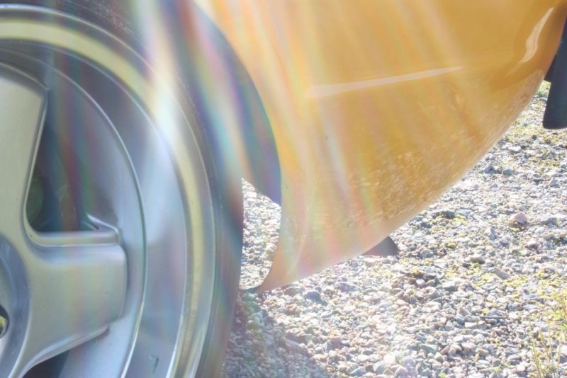 IMG_2767 (Large).jpg