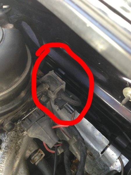 ImageUploadedByTapatalk 21366968851.982168.jpg