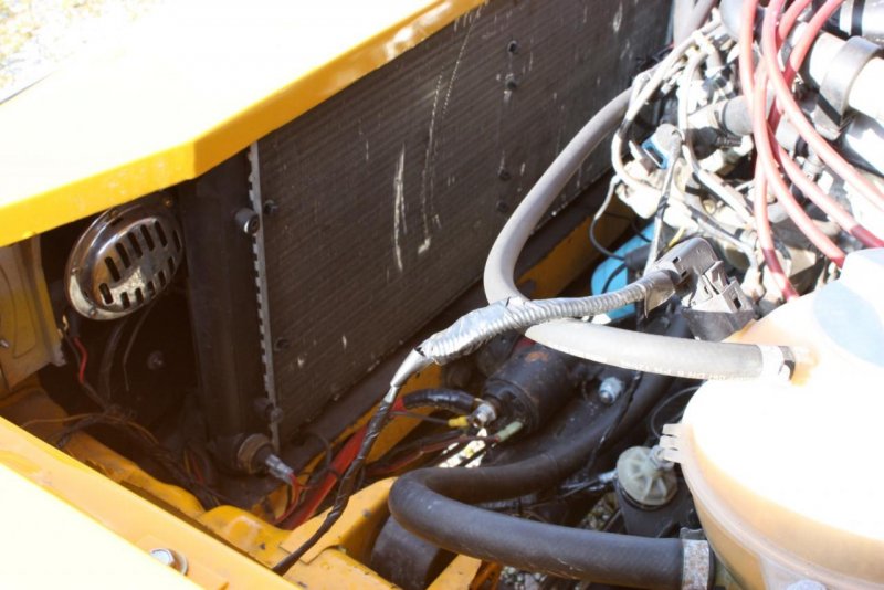 IMG_2723 (Large).jpg