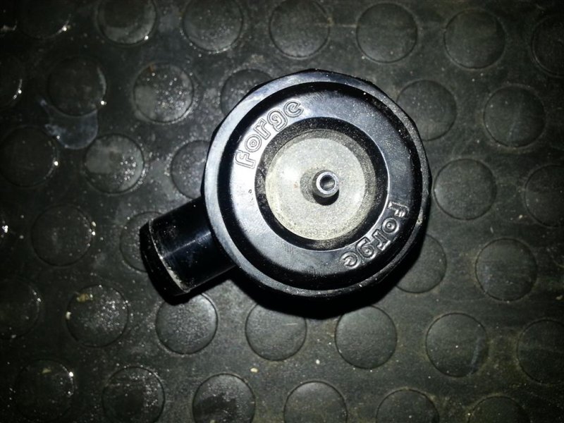 20131029_204738 (Medium).jpg