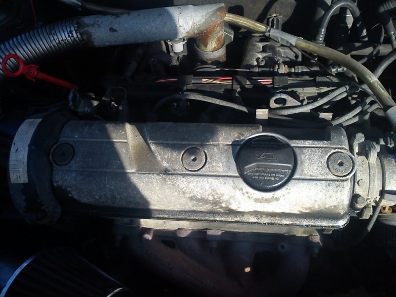 DSC00396 [1024x768].jpg