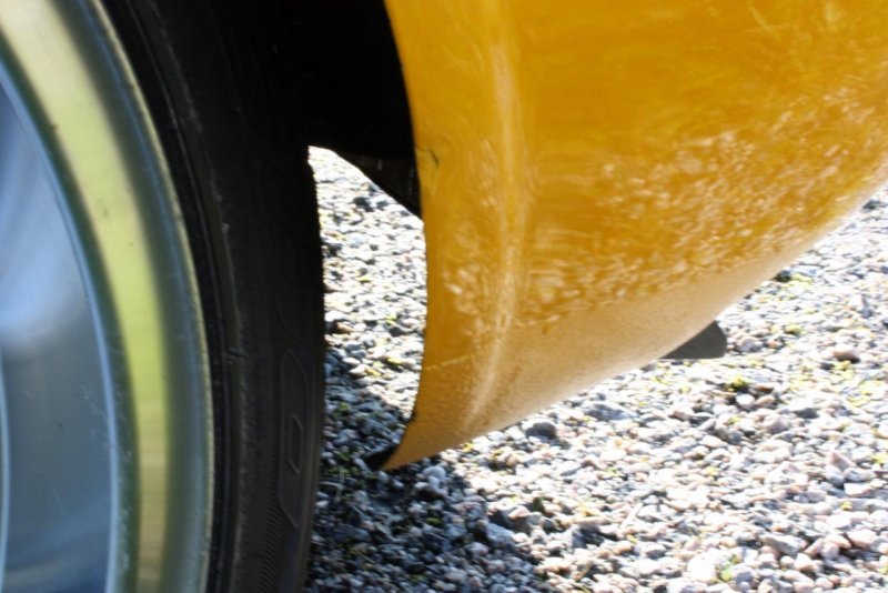 IMG_2771 (Large).jpg