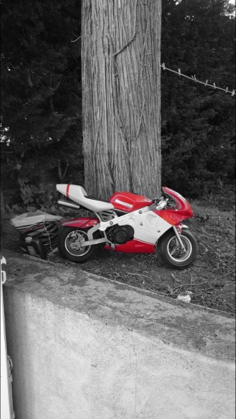 2014-09-01 17.21.59.jpg