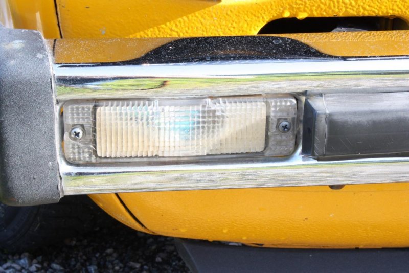 IMG_2772 (Large).jpg