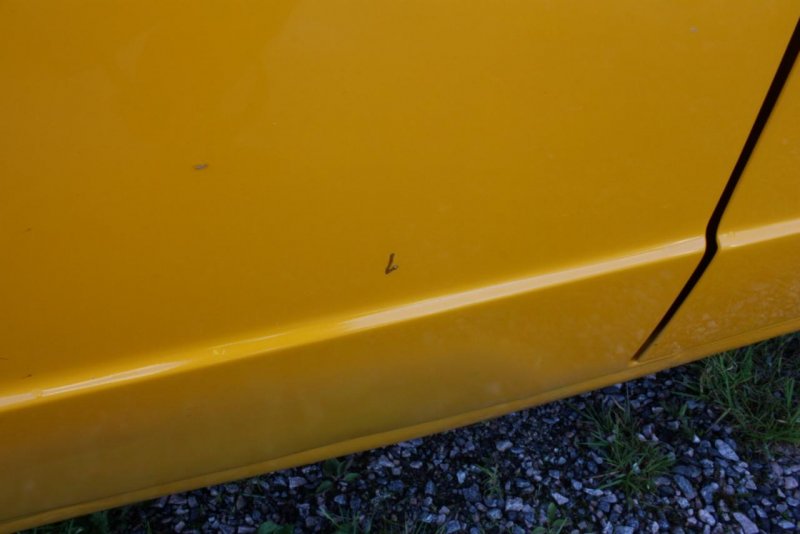 IMG_2680 (Large).jpg