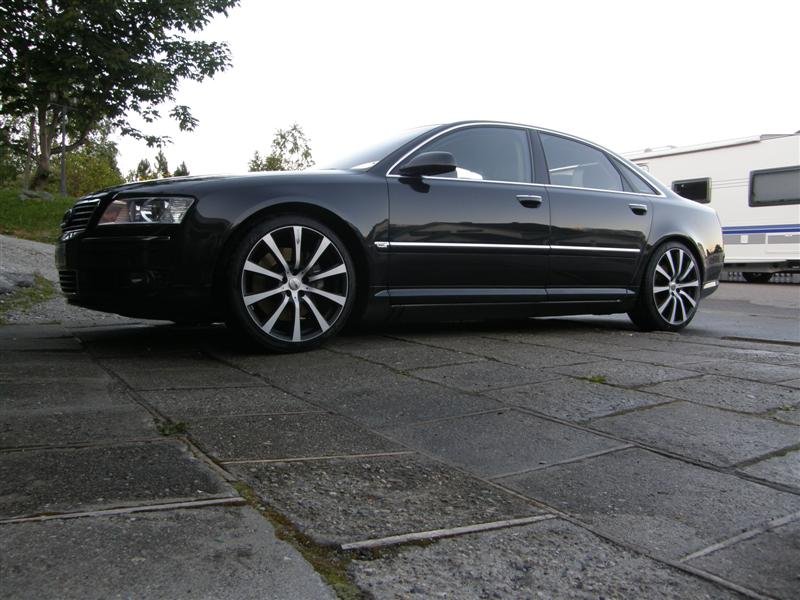 P6170016 (Medium).JPG