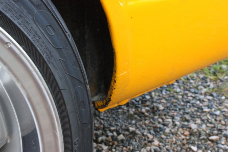 IMG_2697 (Large).jpg