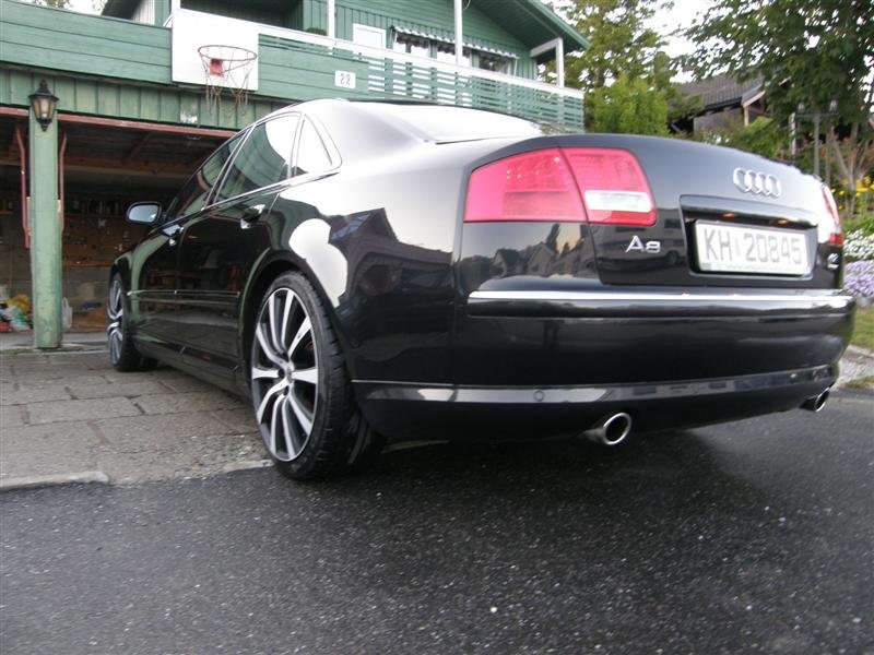 P6170012 (Medium).JPG