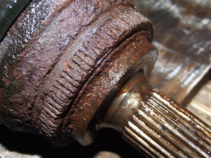 DSCF1143 (Large).JPG