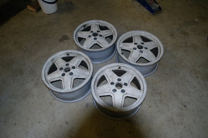 felger3.jpg