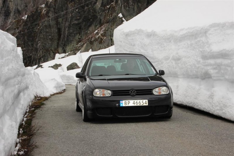 IMG_1533 (Large).JPG