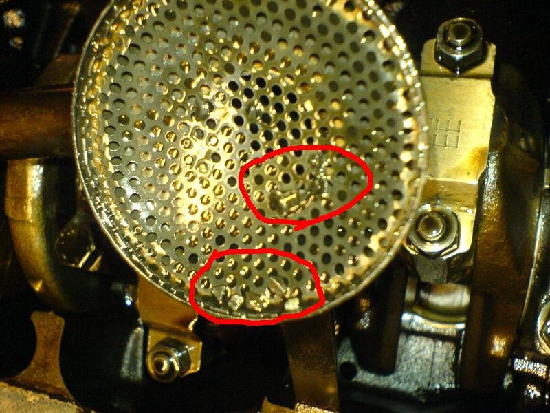 DSC01048 (Medium).JPG