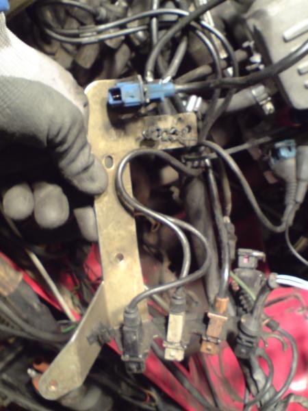 importer 218_450x600.JPG