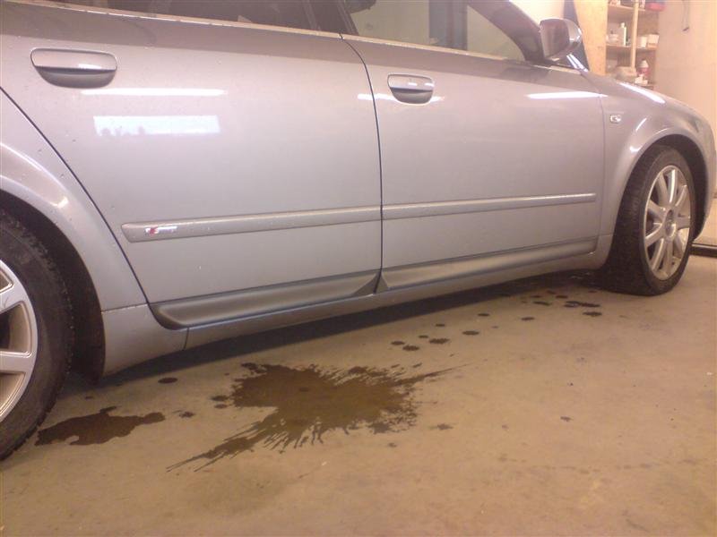 DSC00856 (Medium).JPG