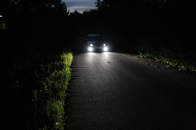 IMG_2388 (Medium).jpg