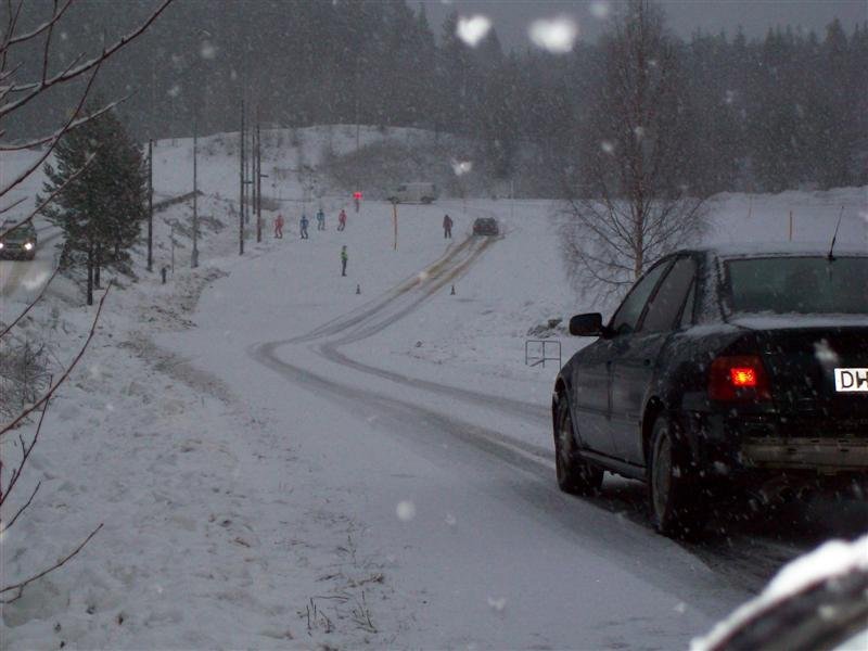 100_0008 (Medium).jpg