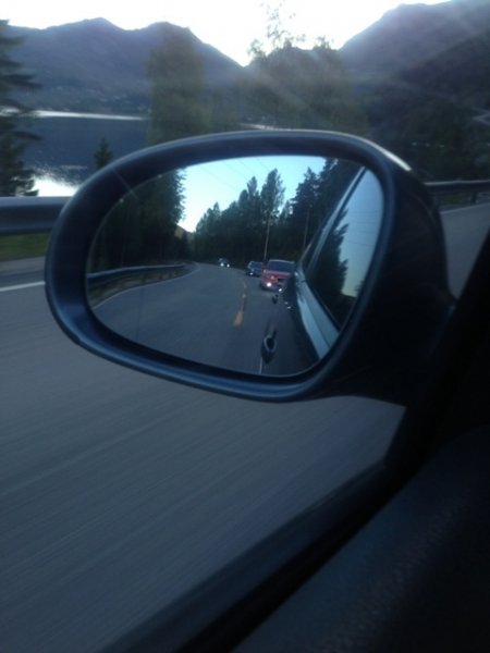 ImageUploadedByTapatalk 21370899584.420617.jpg