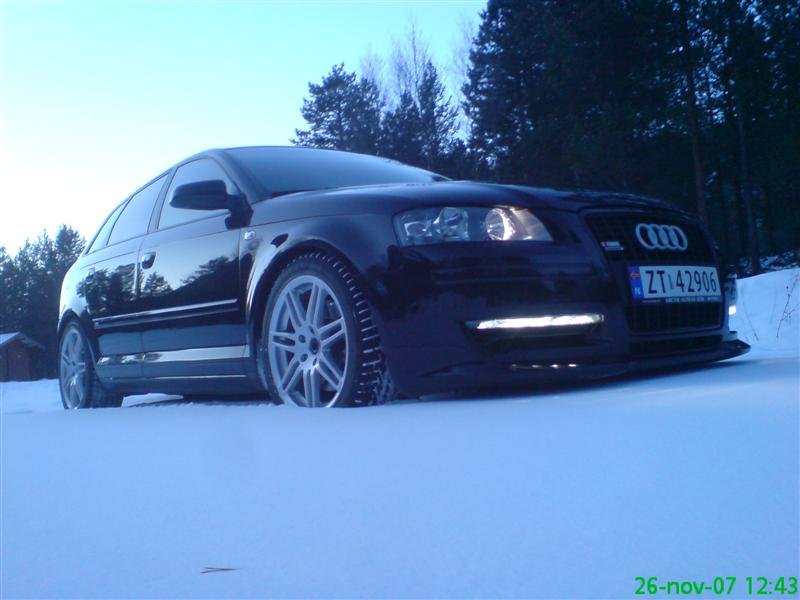 DSC00428 (Medium).JPG