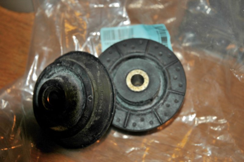 DSC_7395 (1024 x 681).jpg