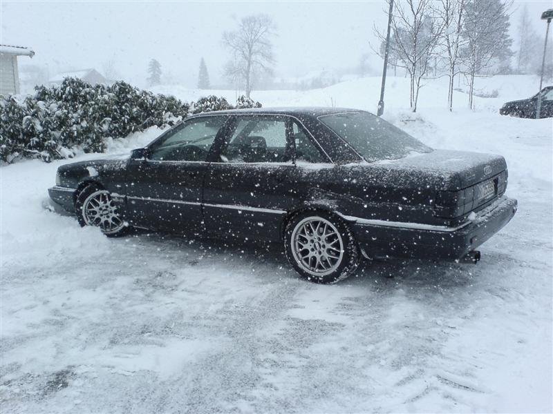 DSC00133 (Medium).JPG