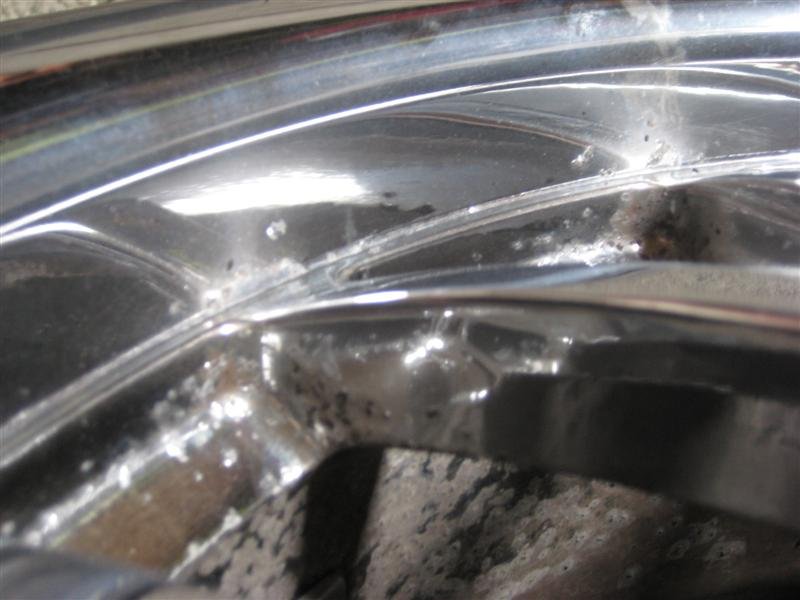 IMG_0970 (Medium).jpg