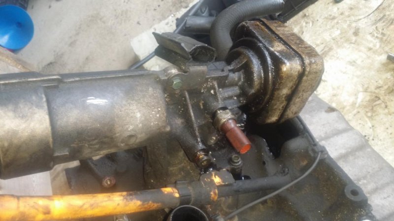 2016-05-22 14.58.14.jpg