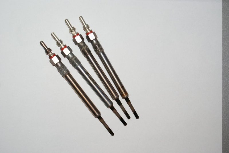 DSC06432 (Large).jpg