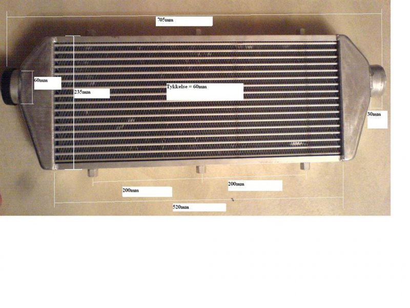 intercsalg_164 (Large).jpg