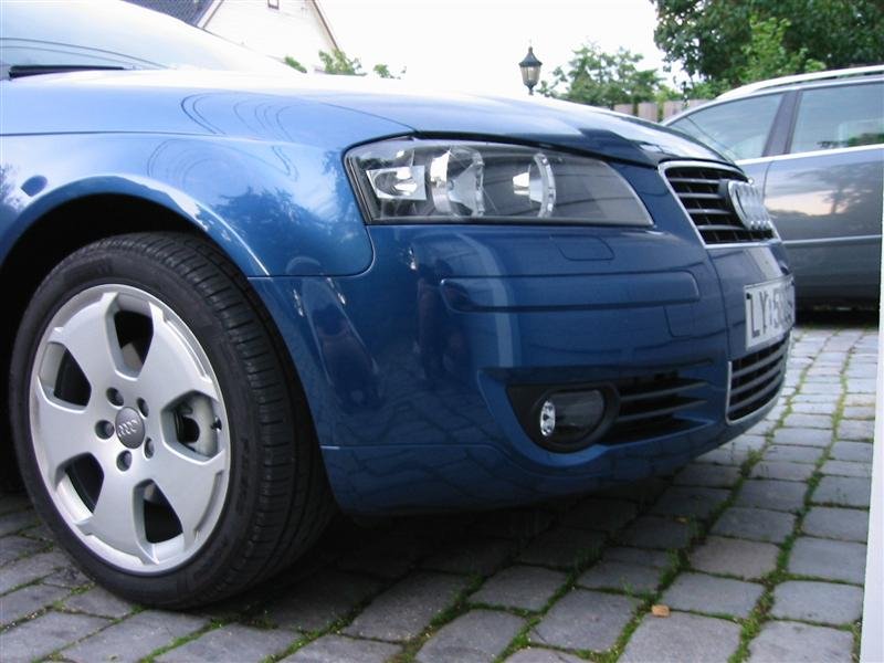 IMG_1175 (Medium).JPG