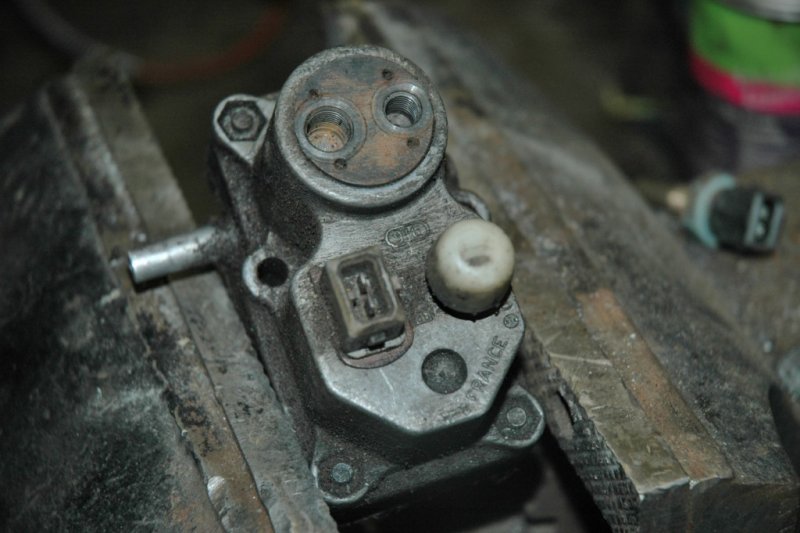 DSC_7897 (1024 x 681).jpg