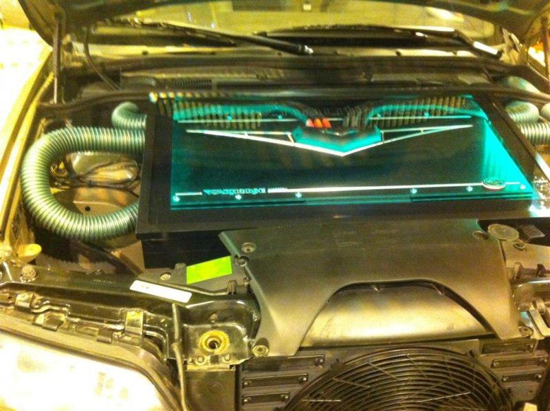 IMG_0771 (Medium).JPG