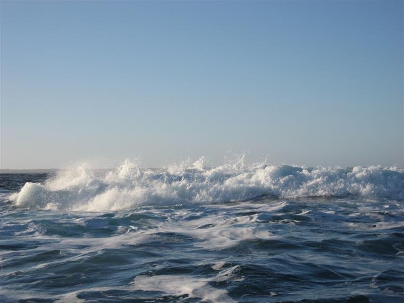 IMG_1754 (Medium).jpg