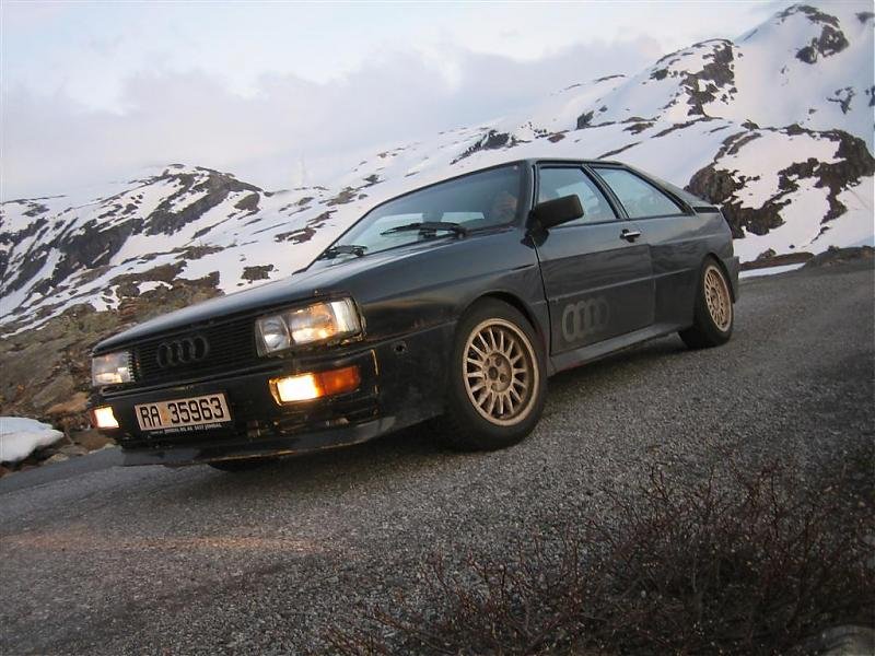 IMG_0458 (Large).jpg