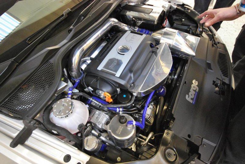 Ultimate Dub 2009 040.jpg